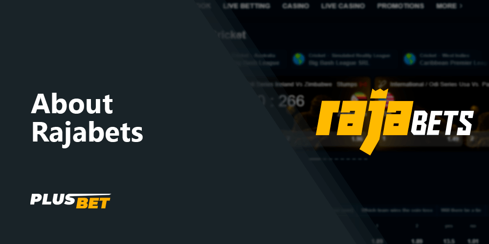 Main information about Rajabets company