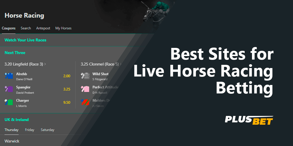 Best Sites for Live Horse Racing Betting
