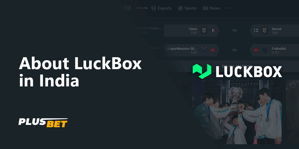 Detailed review of the LuckBox bookie