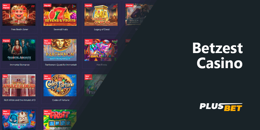 Betzest Casino - Everything new gamblers need to know
