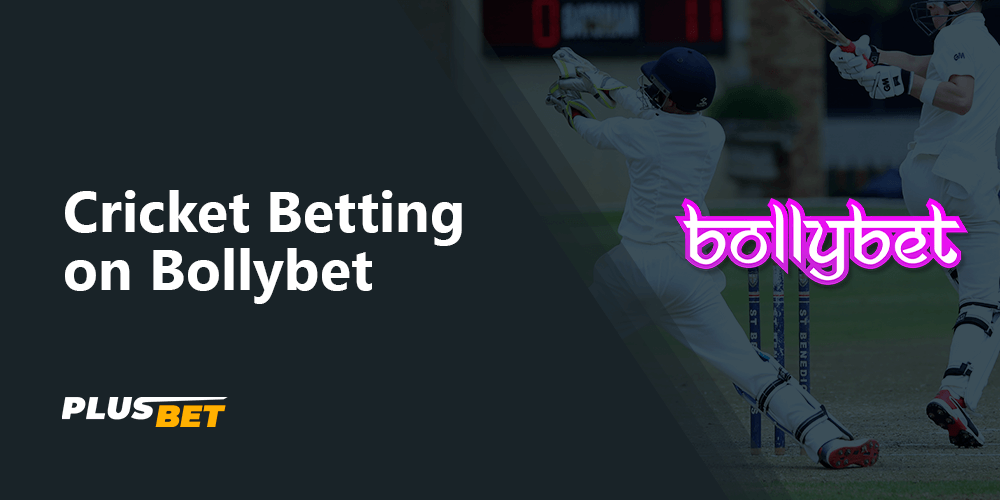 Cricket Betting on Bollybet