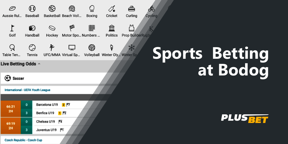 With Bodog bookmaker you can bet on events in dozens of different sports disciplines