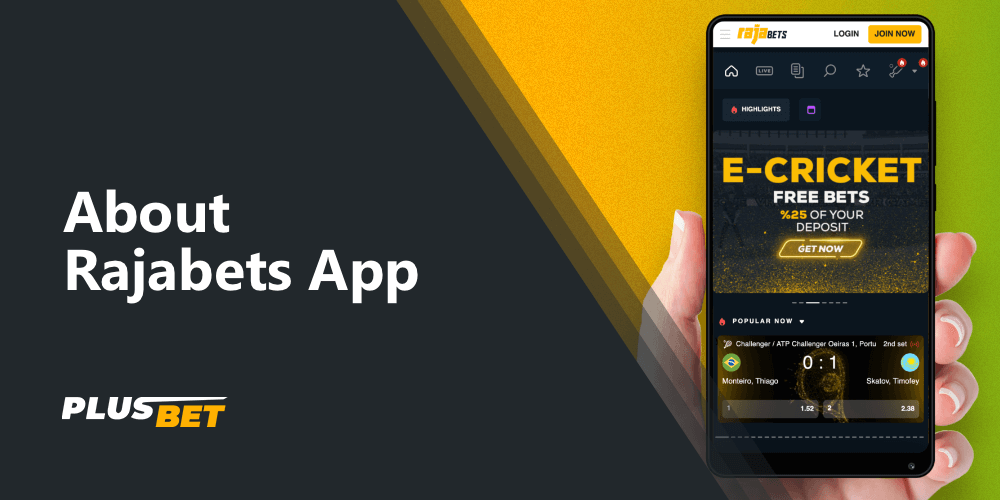review of the Rajabets app for mobile devices
