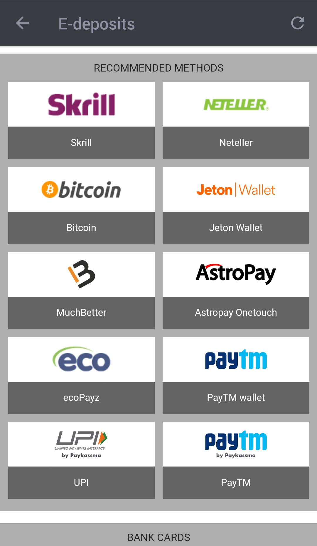 the list of available payment methods in the betandyou mobile app