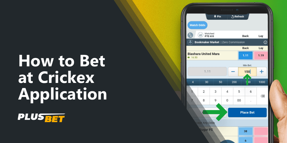 a detailed guide on how to bet on sports in the crickex app
