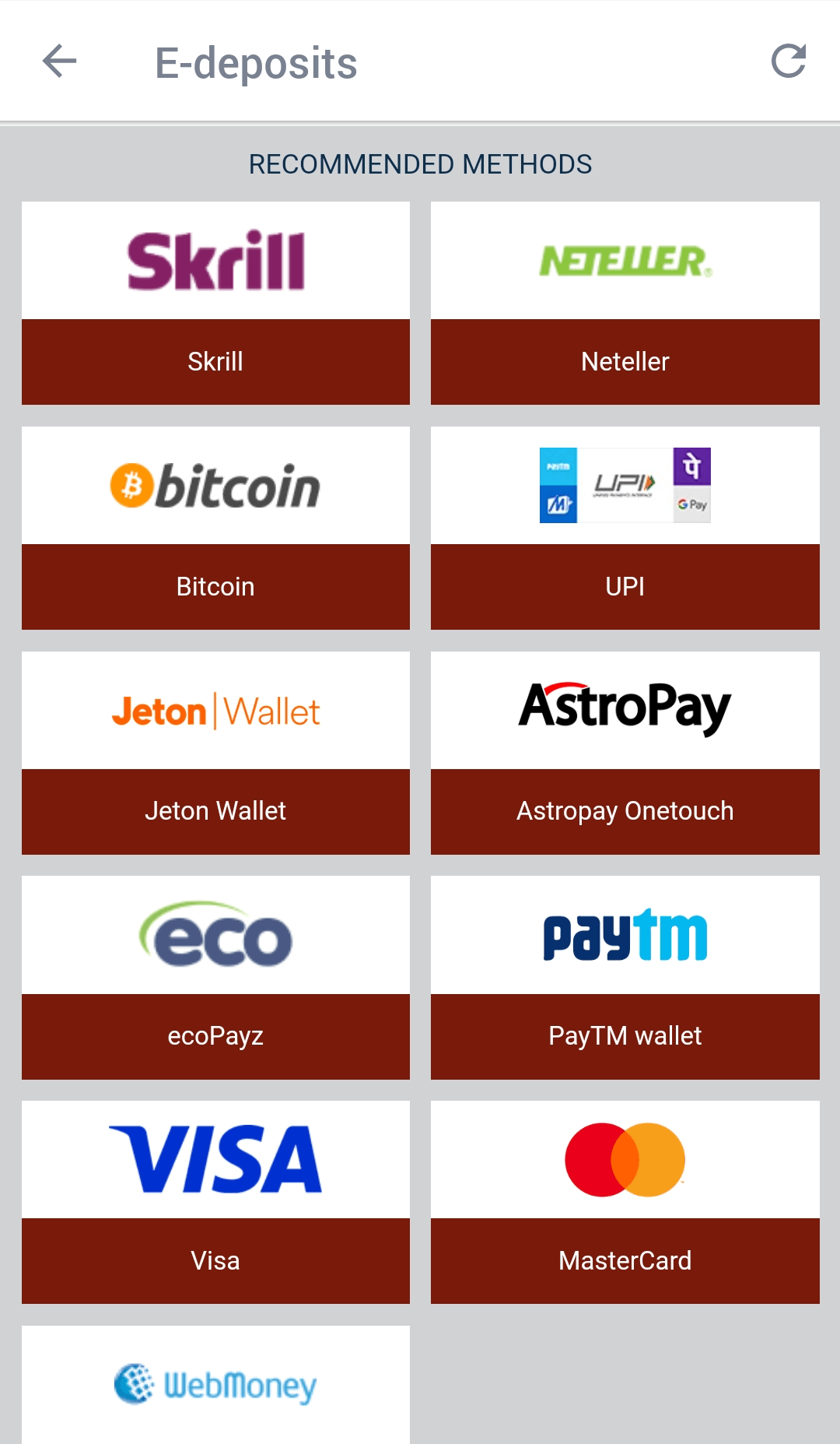 List of available payment methods in 888Starz app for clients from India