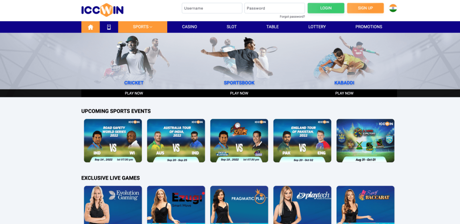 Screenshot of the homepage of the official ICCWIN website in India