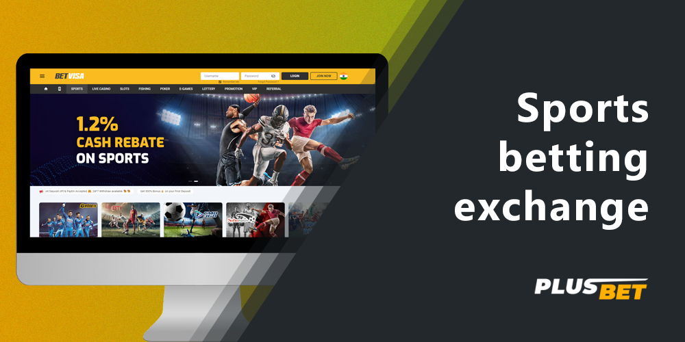 What sports you can bet on on the Betvisa website