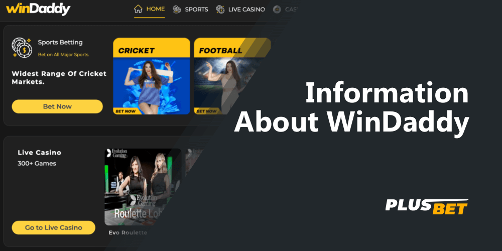 Detailed information about the WinDaddy bookie in India