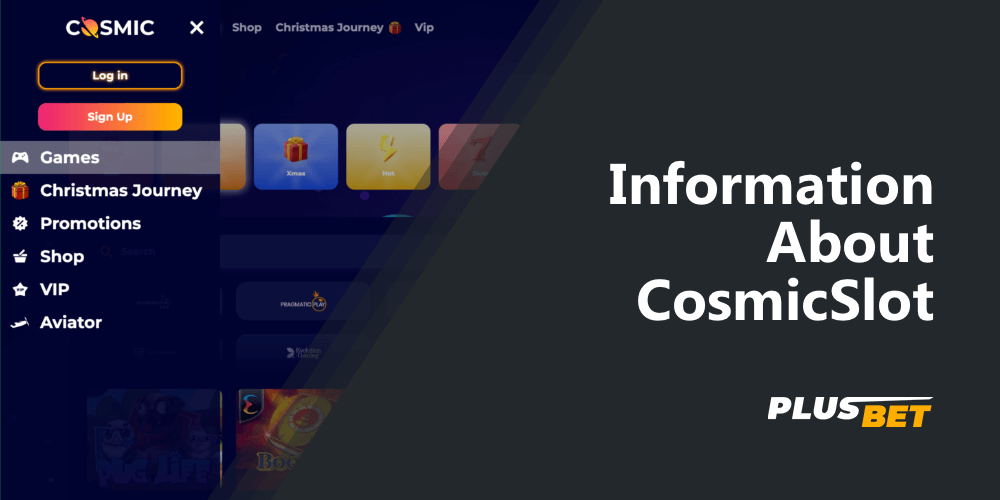 Detailed information about the company CosmicSlot in India