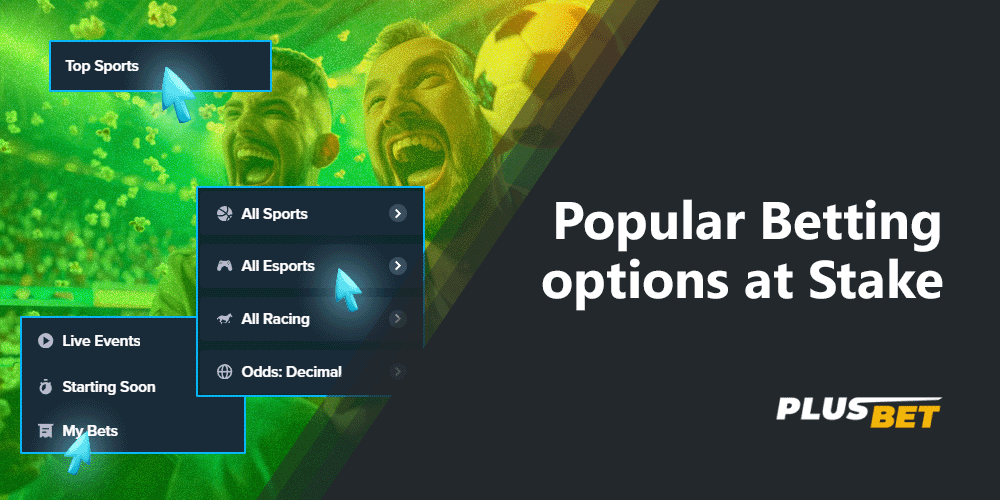 Stake offers a variety of betting options