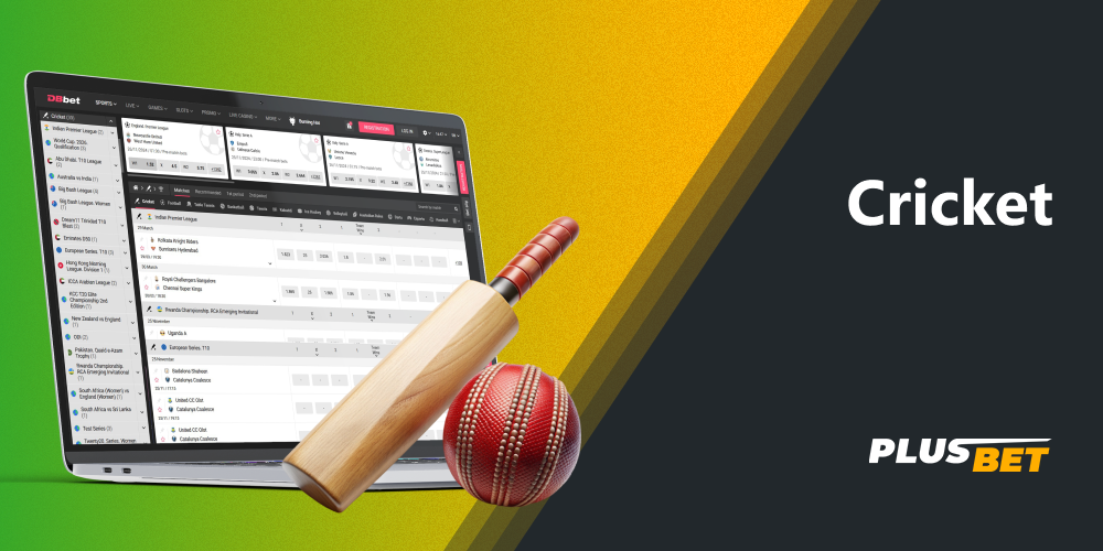 Cricket is the most popular betting category on DBbet