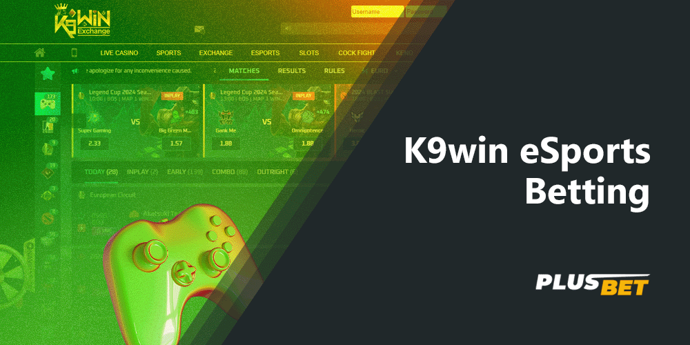 k9win provides Indian players with daily betting options on popular esports