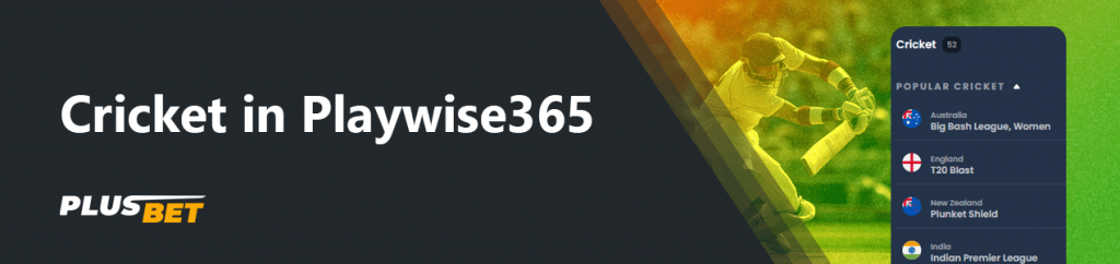 Playwise365 has betting on the popular sport of Cricket